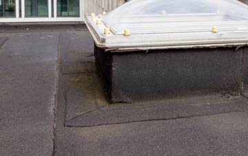 disadvantages of Elm Corner flat roofs