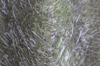 Elm Corner fibreglass roof work